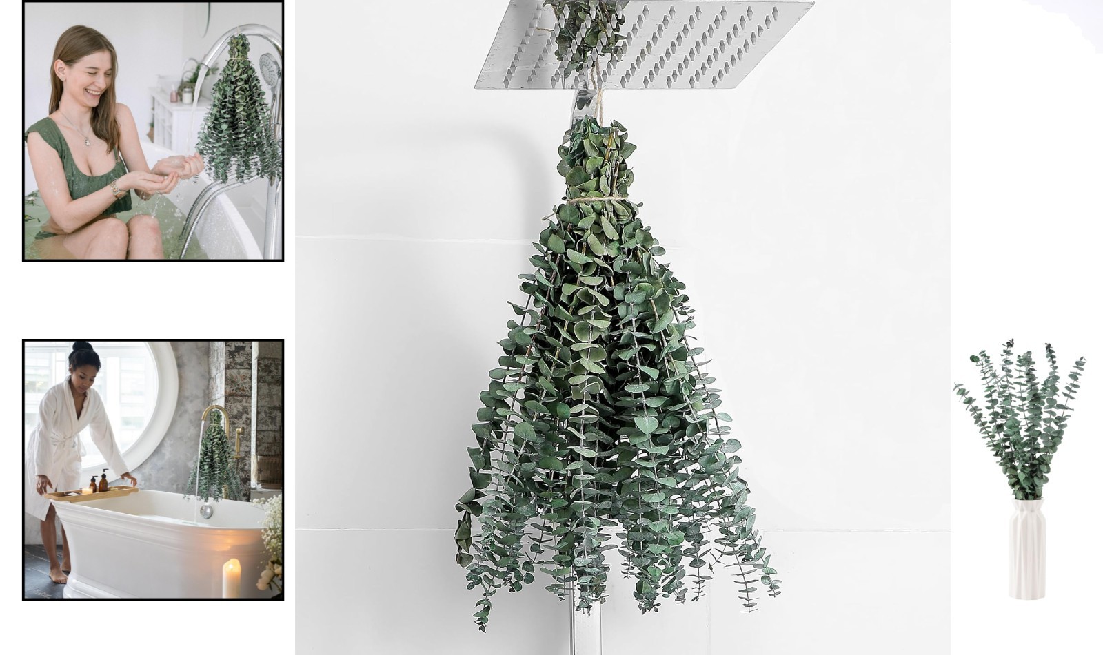 10 Pcs 17″ Dried Eucalyptus Stems – Perfect for Calming Home Ambiance