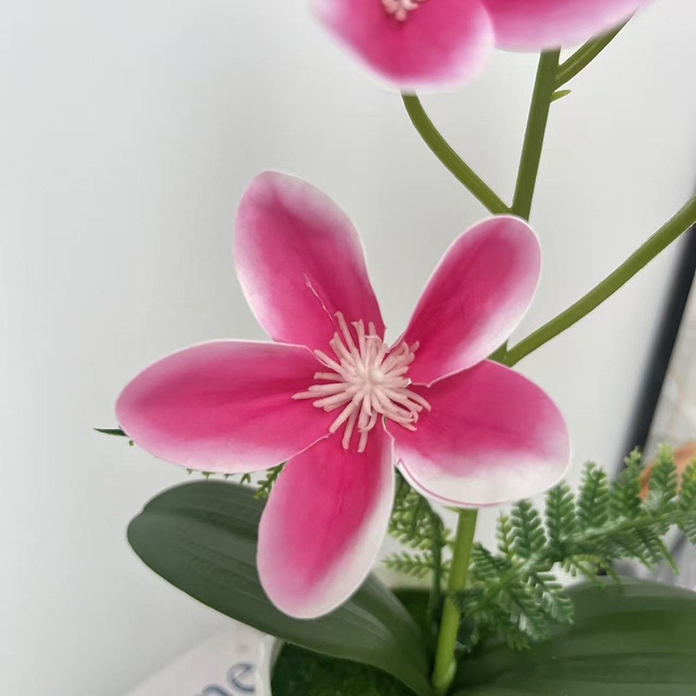 Vertical Pot Magnolia Flower Decoration with Realistic Petals and Green Leaves