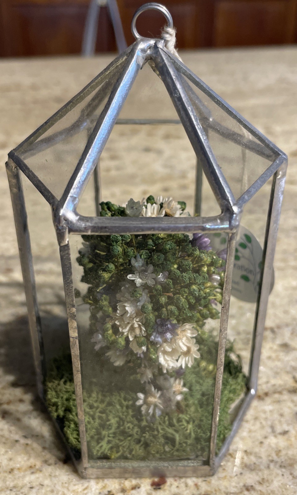Handcrafted Octagon Real Dried Flowers Hanging Glass/Metal Frame Floral Decor 5”