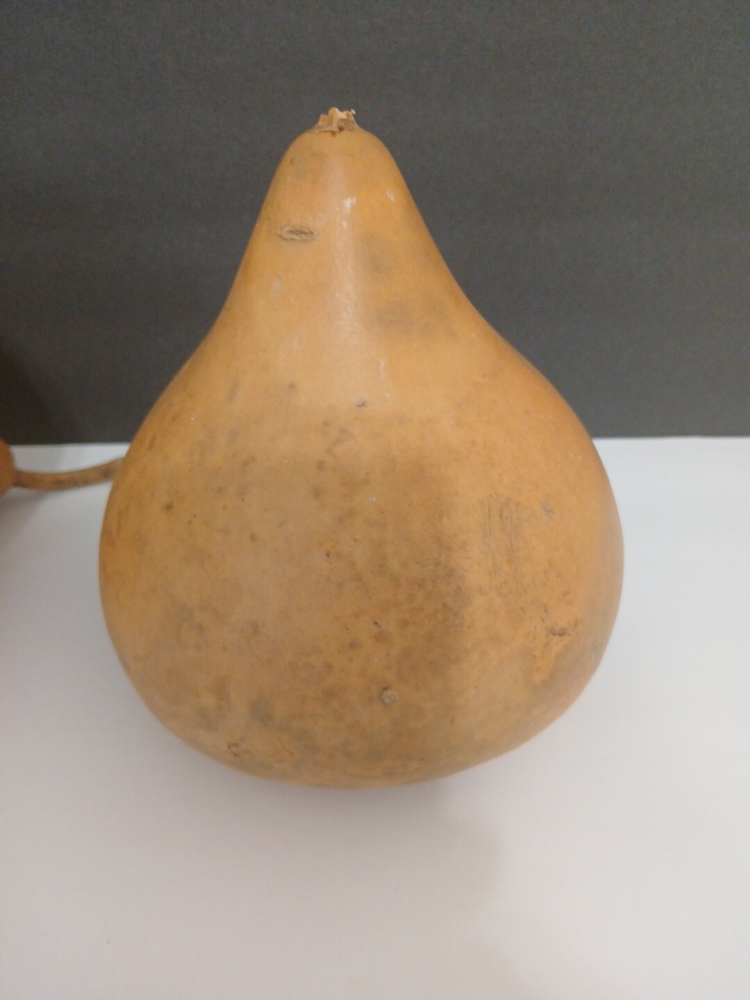 Organic Natural Calabash With Seeds Decorative Pieces 2