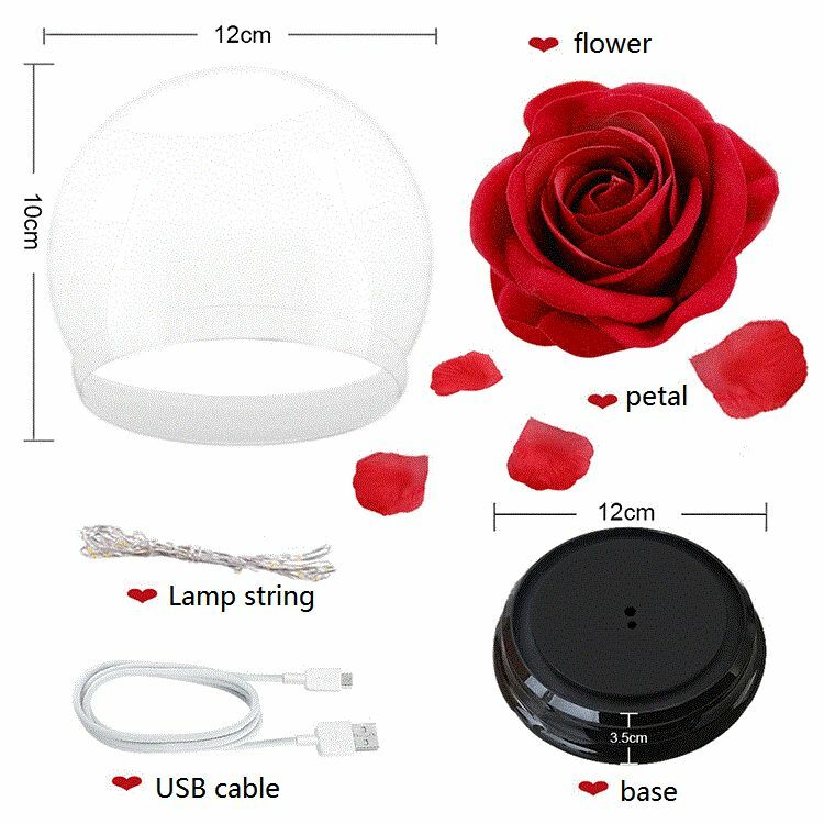 Flower Rose Preserved In Glass Mothers Day Birthday Gift Womens Girls Home Decor