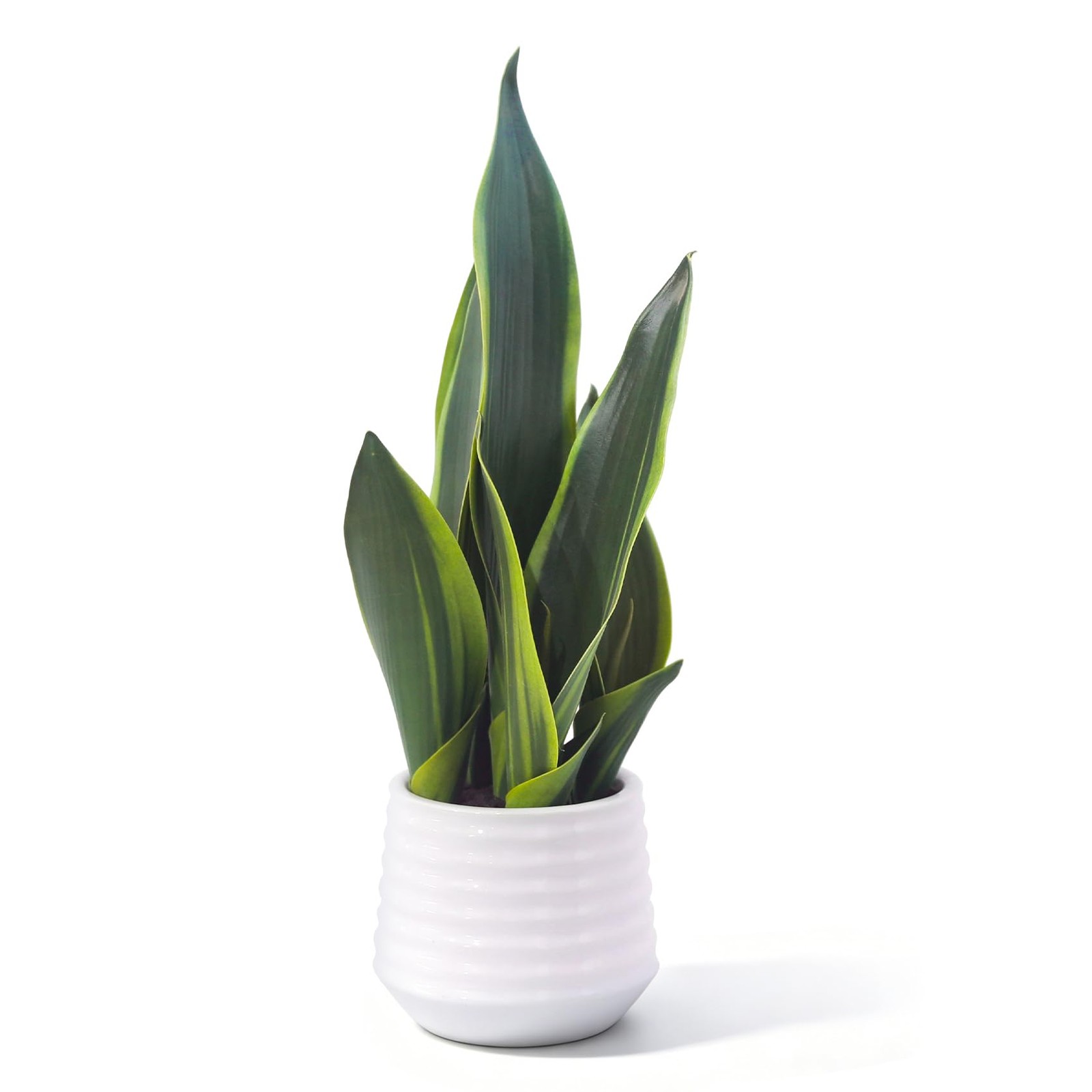 CZWBE Artificial Snake Plant Potted, 15″ Faux Plant, Suitable for Home Office…