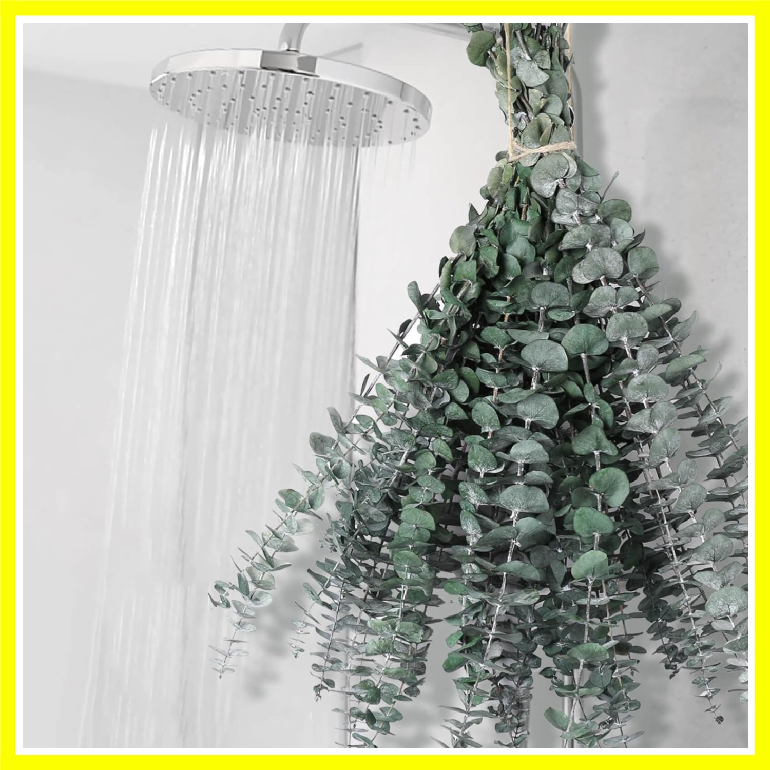 12 PCS Dried Eucalyptus Stems for Shower – 17″ Preserved Eucalyptus Stems Sho…