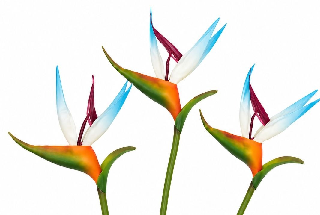 Bird of Paradise Stems Set of 3 Artificial Tropical Flowers 24 Inch Faux Floral