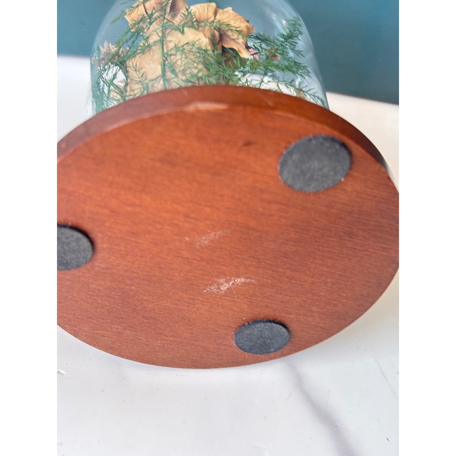 Natural Expressions Dried Flower Glass Cloche Wood Base Preserved Pink Rose 5in