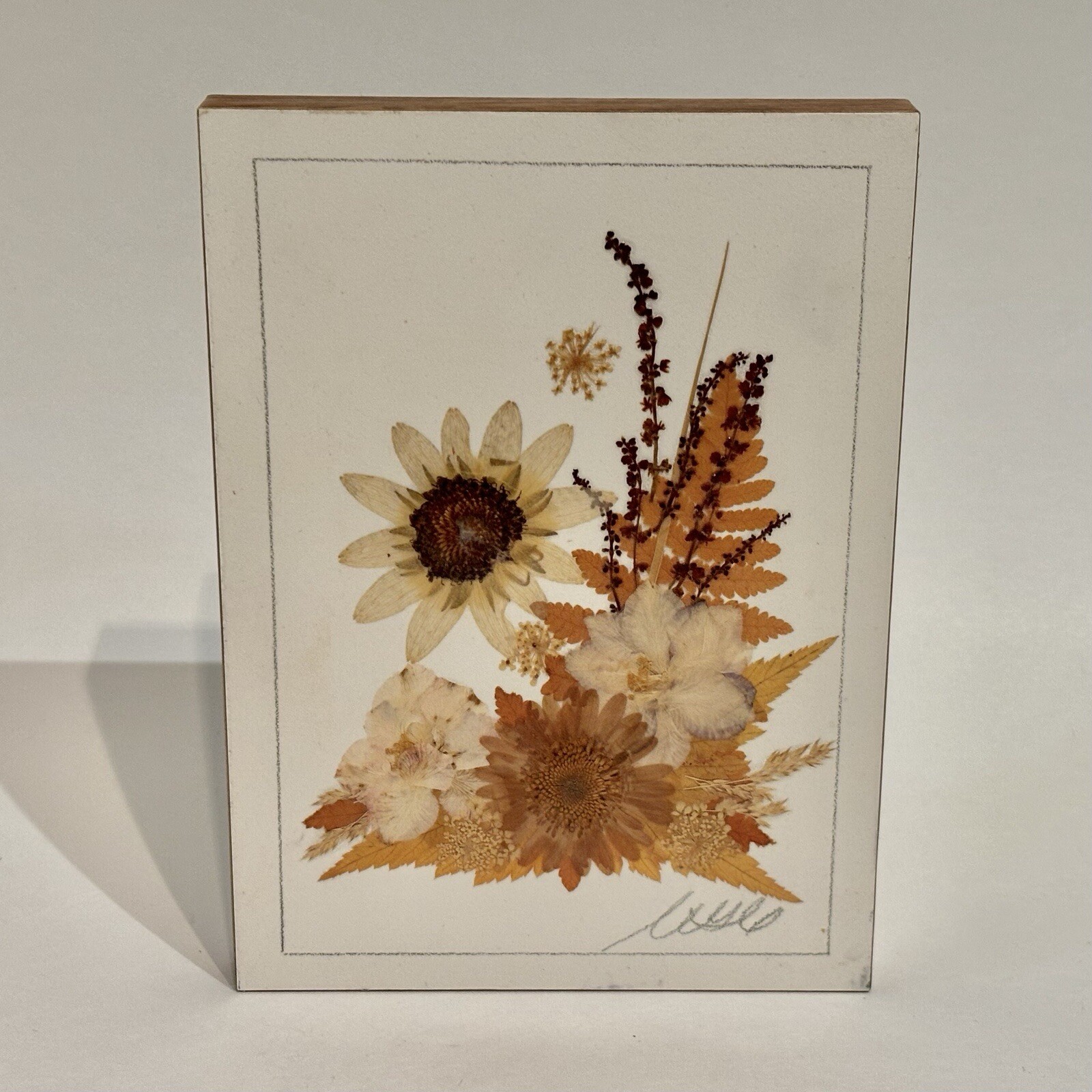 Country Girl Creations Naturally Preserved Flowers Leaves Wall Art Canada 6.5″