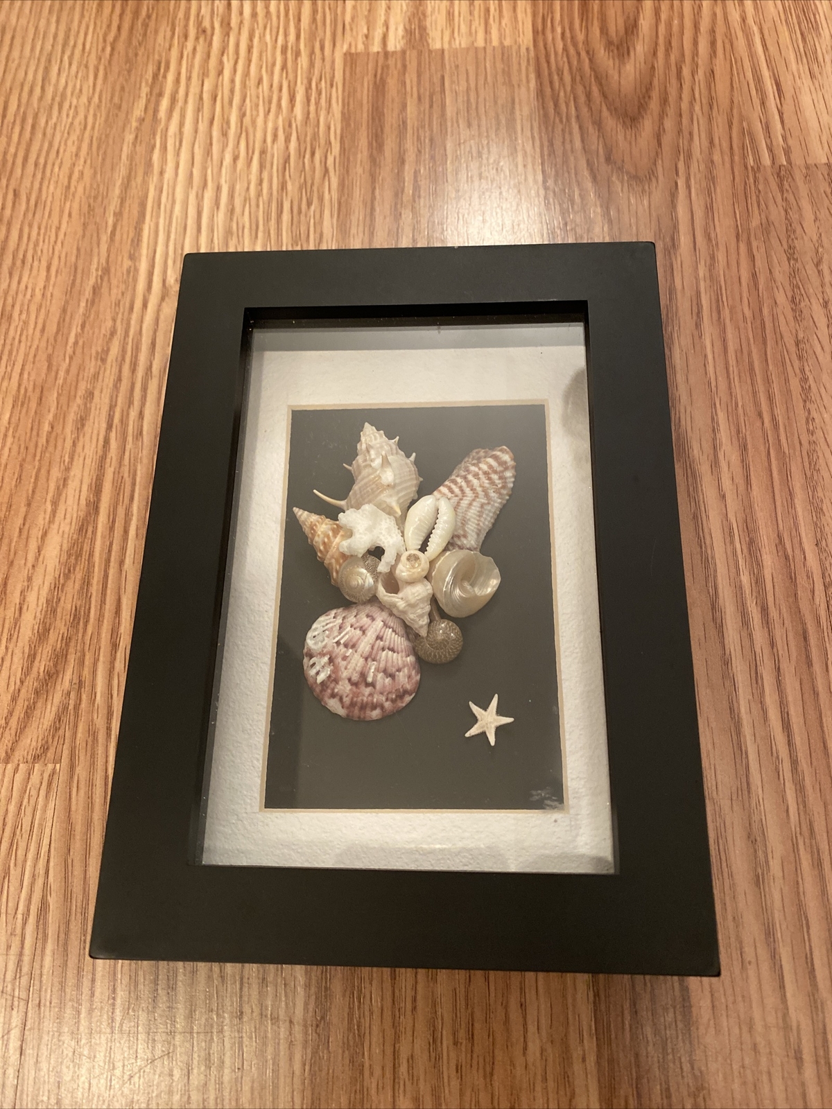 Handmade SEA SHELL Collage Wall Decor – Black Shadow Box – 5×7 – Crafts & Art