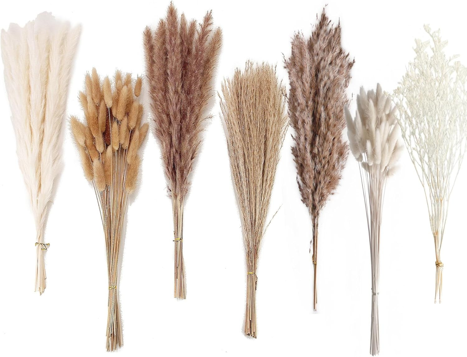 Natural Dried Pampas Grass Decor, 110 PCS Pampas Grass Contains White Bunny Tail