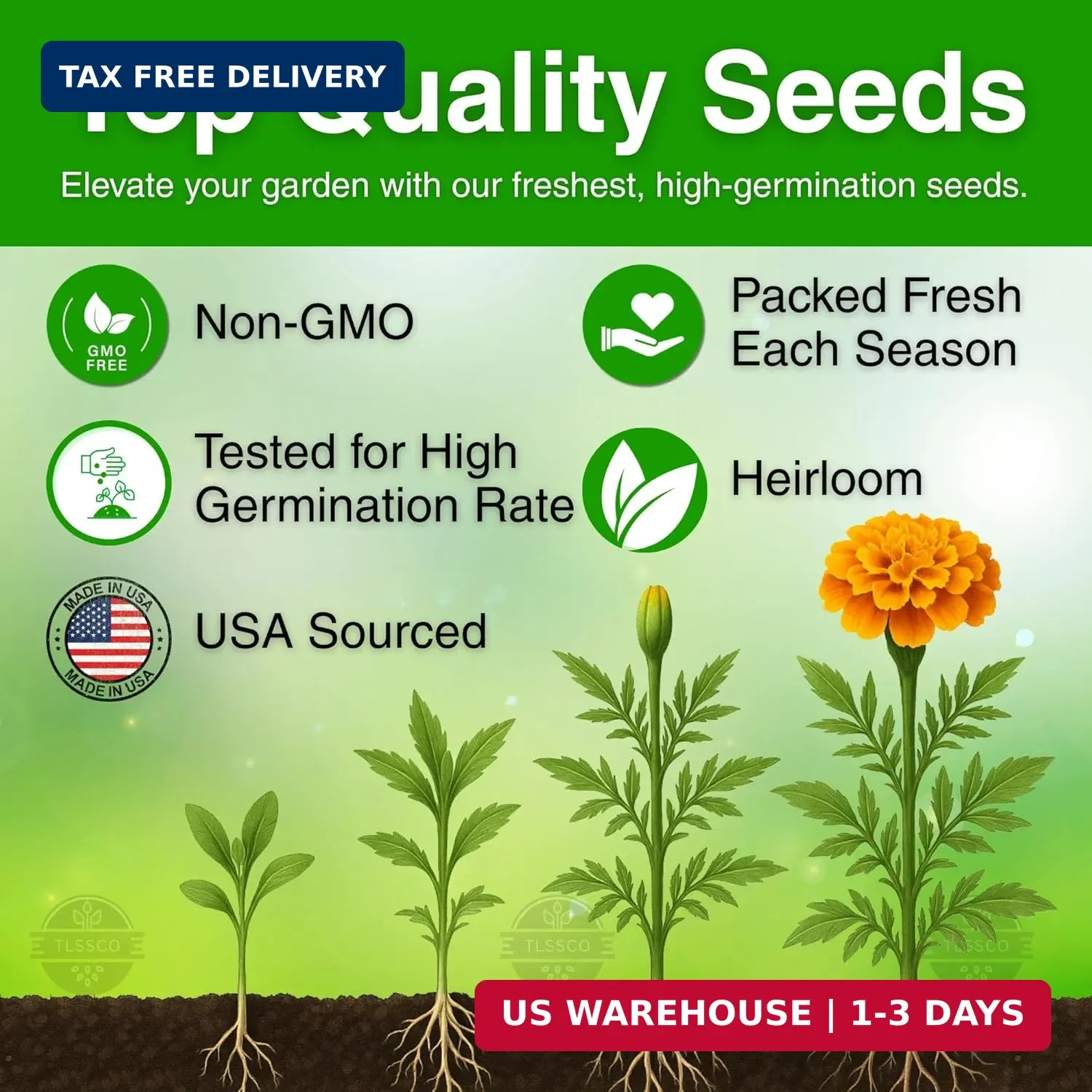 1450+ French Petite Marigold Seeds, Pack for 2026 USA Premium Multi