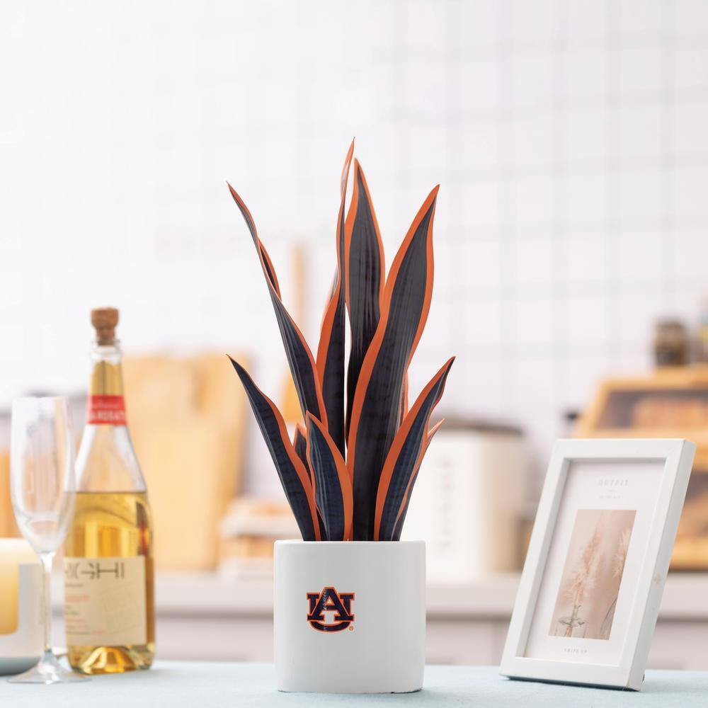 20 In. Auburn Artificial Snake Plant – Auburn Fan Gifts