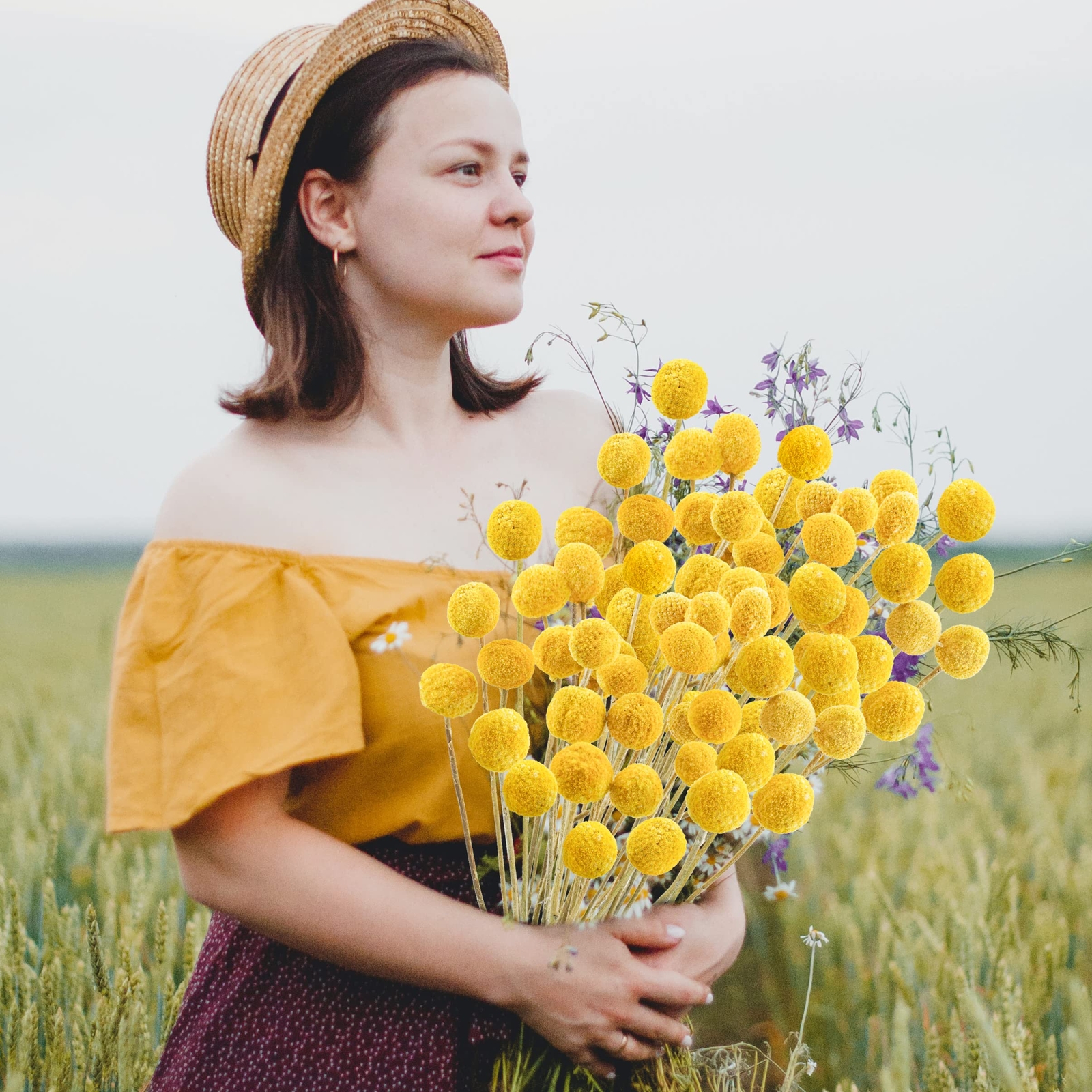 Uieke 30Pcs Natural Dried Flowers Craspedia Billy Balls Flowers Billy Buttons