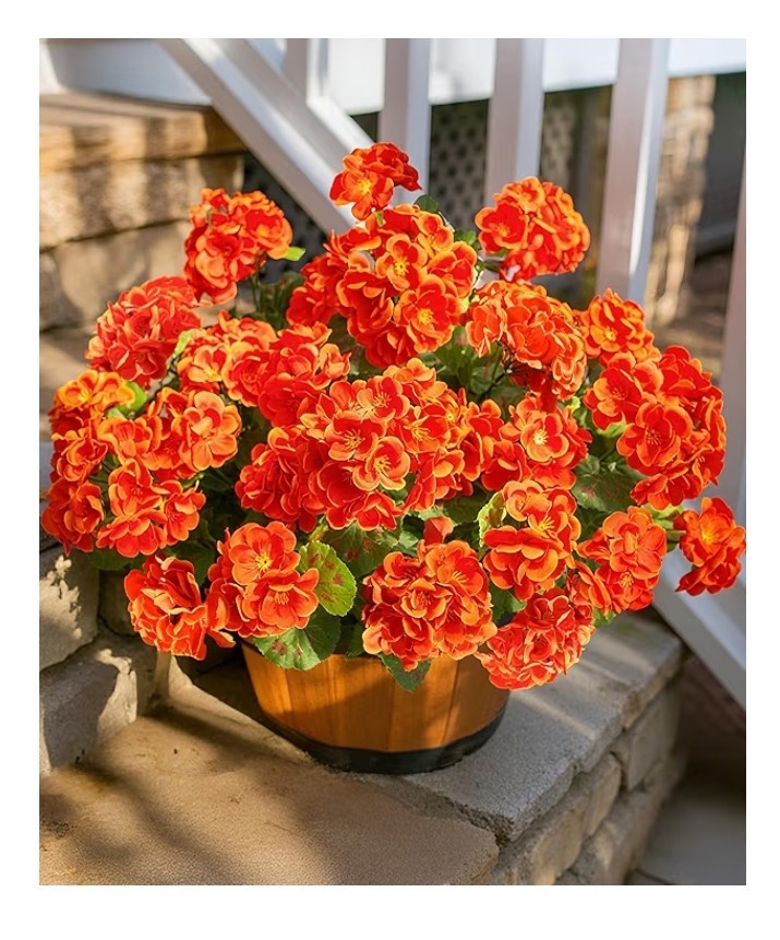 8 Bundles Fall Flowers Artificial for Decoration, Fake Geraniums Artificial 14″