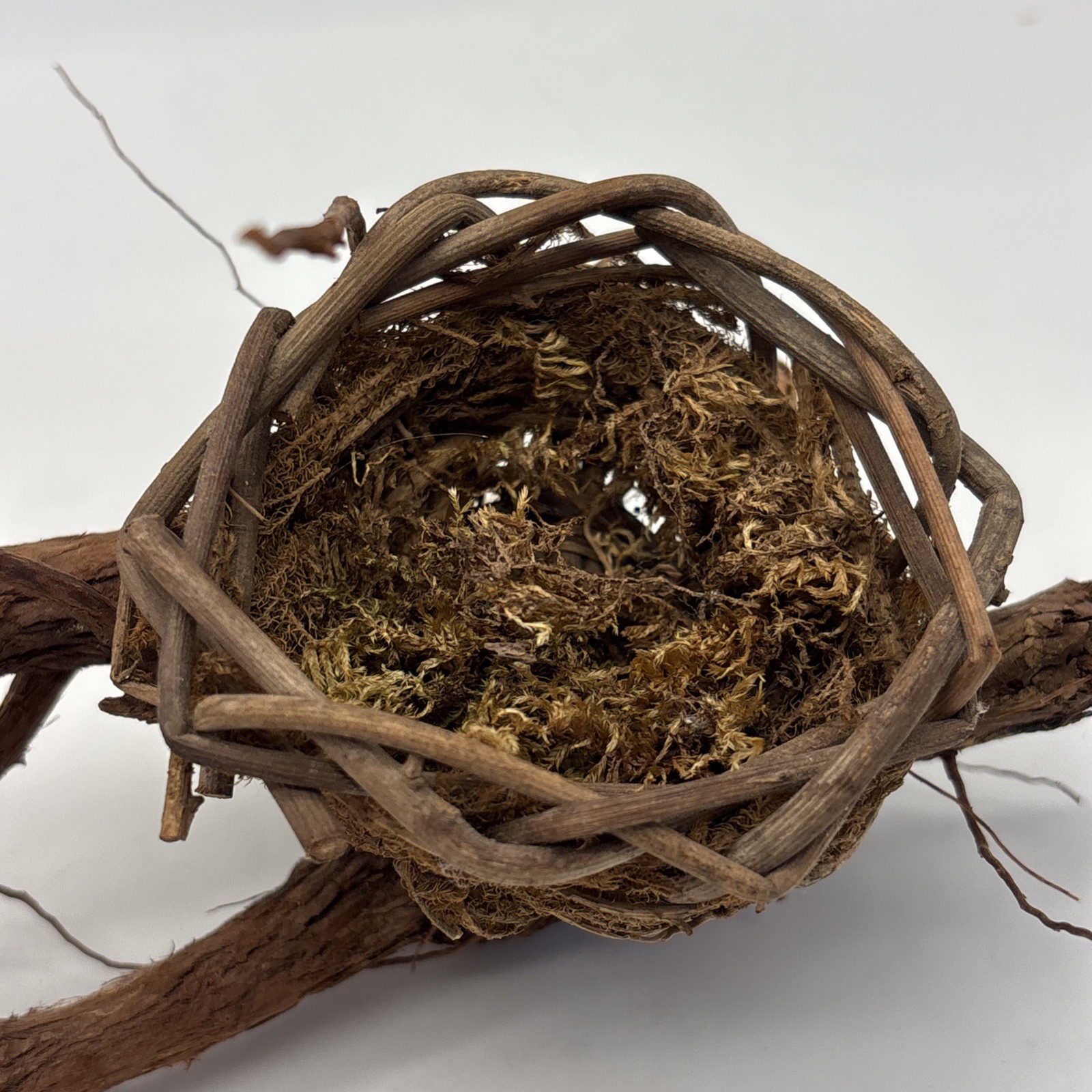 Bird nest Garden decorations, home, floral accent, crafts, center piece