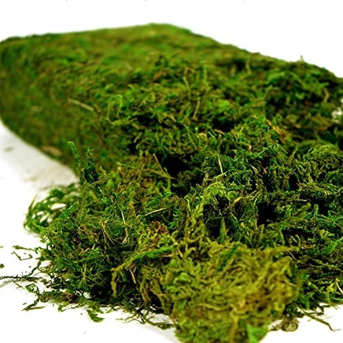 Artificial Moss 16oz – Fake Moss for Crafts, Fairy Gardens, Wedding Decor & Cent