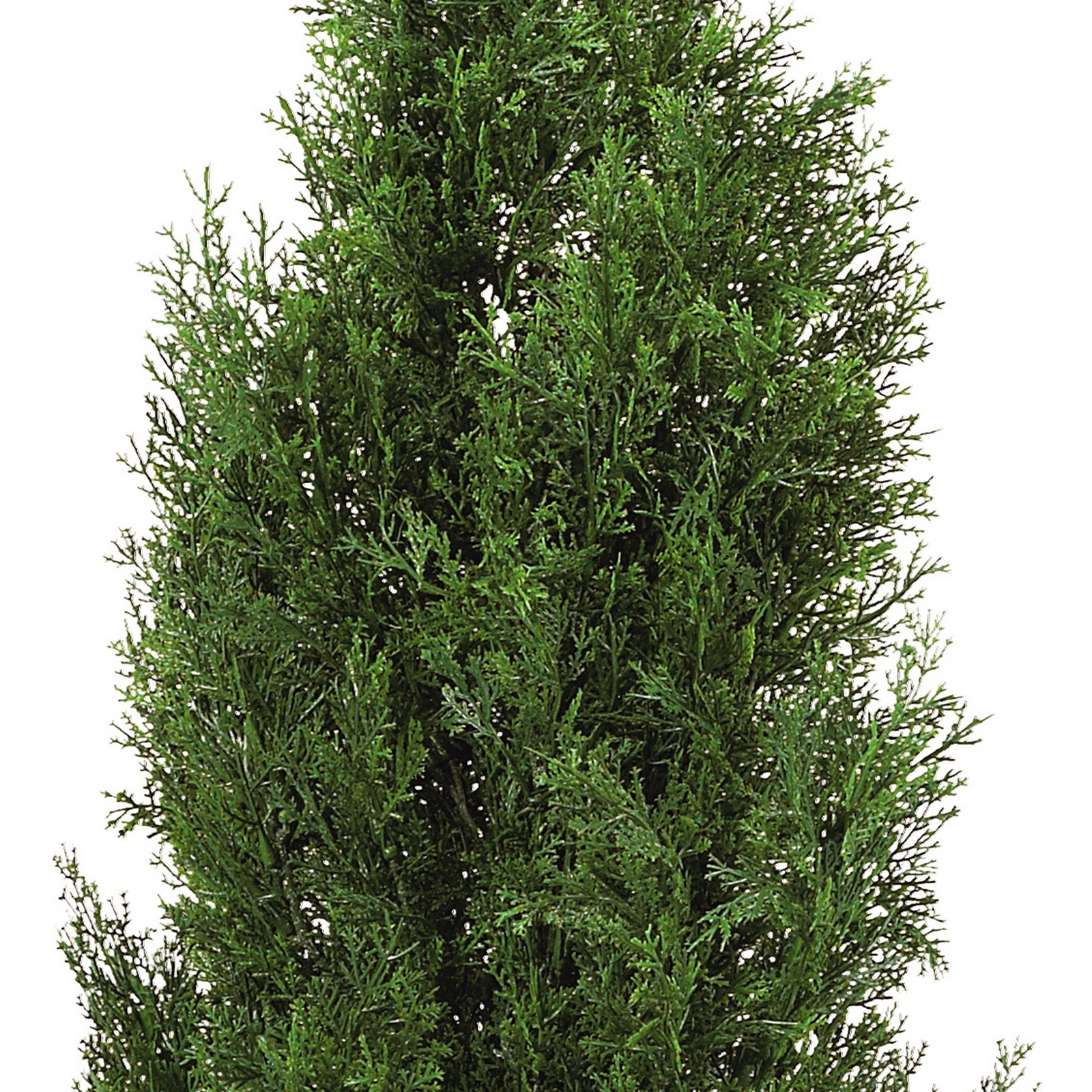 Nearly Natural Indoor/Outdoor 48″ Cedar Tree Silk Tree in Green/Green