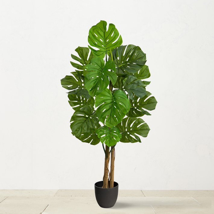 UV Resistant Faux Monstera Tree, 48″-Williams Sonoma|45098