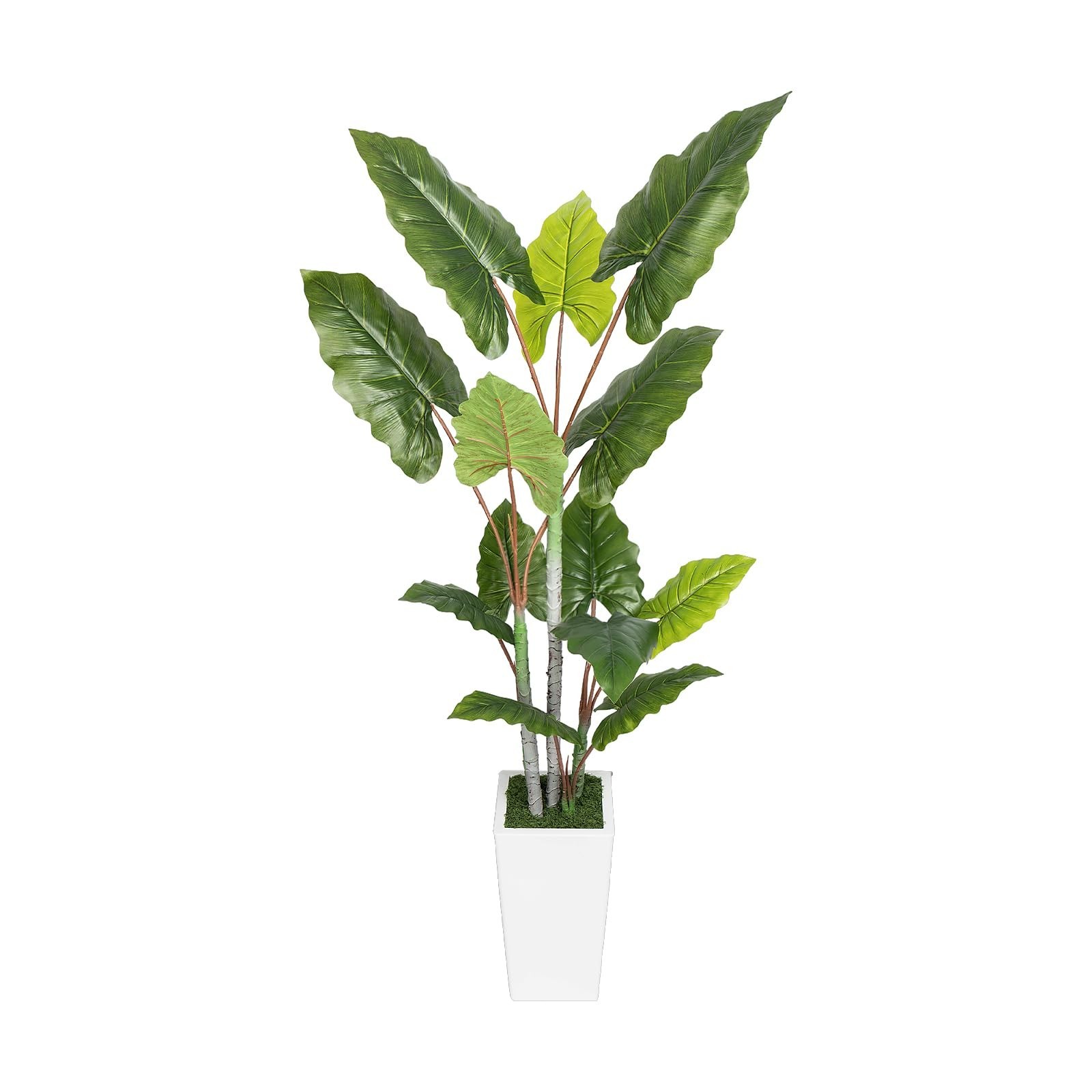 Abzo Artificial Plant Indoor 5.5FT – Fake Tree White Tall Planter – Faux Silk