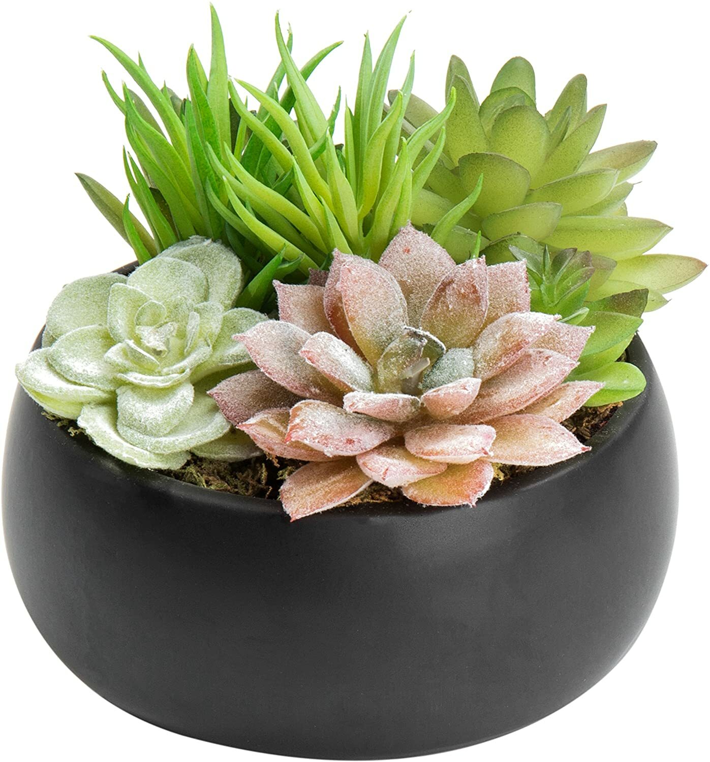 Mini Artificial Succulent Arrangement in Black Ceramic Planter Bowl Assortment 3