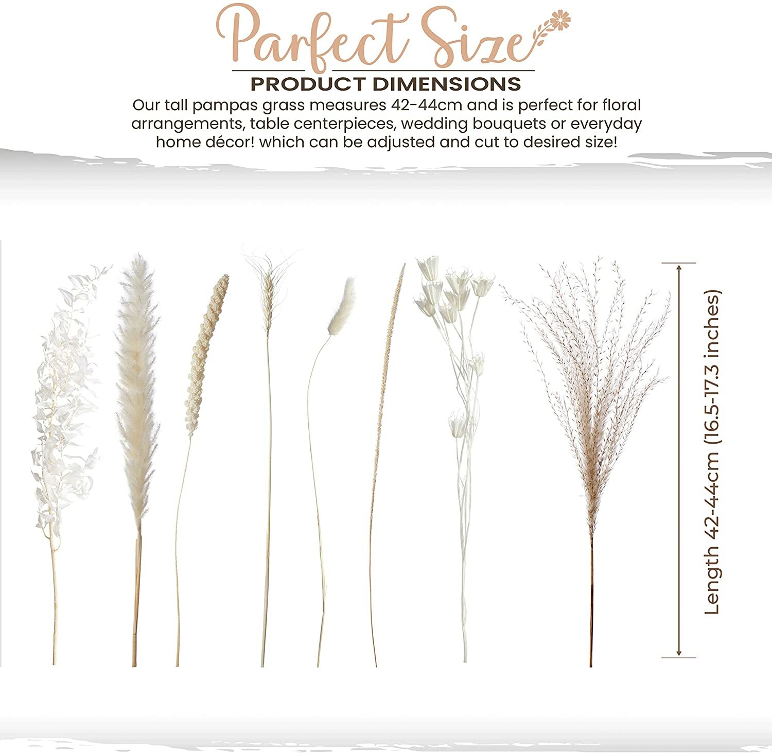 MagicDecor 85 Stems Natural Dried Pampas Grass, Bunny Tails, Natural Reed Grass