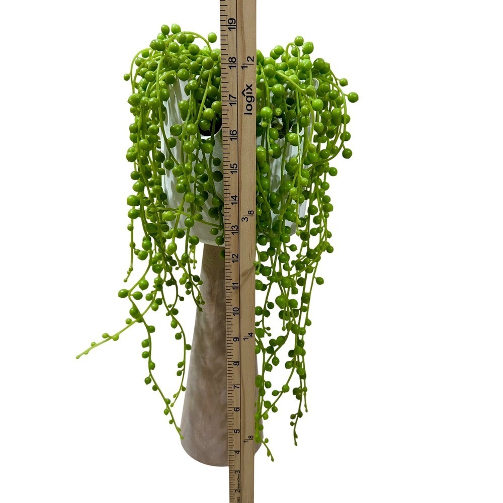 Artificial String of Pearls Faux Succulent Plant in White Ceramic Pot 18.5in