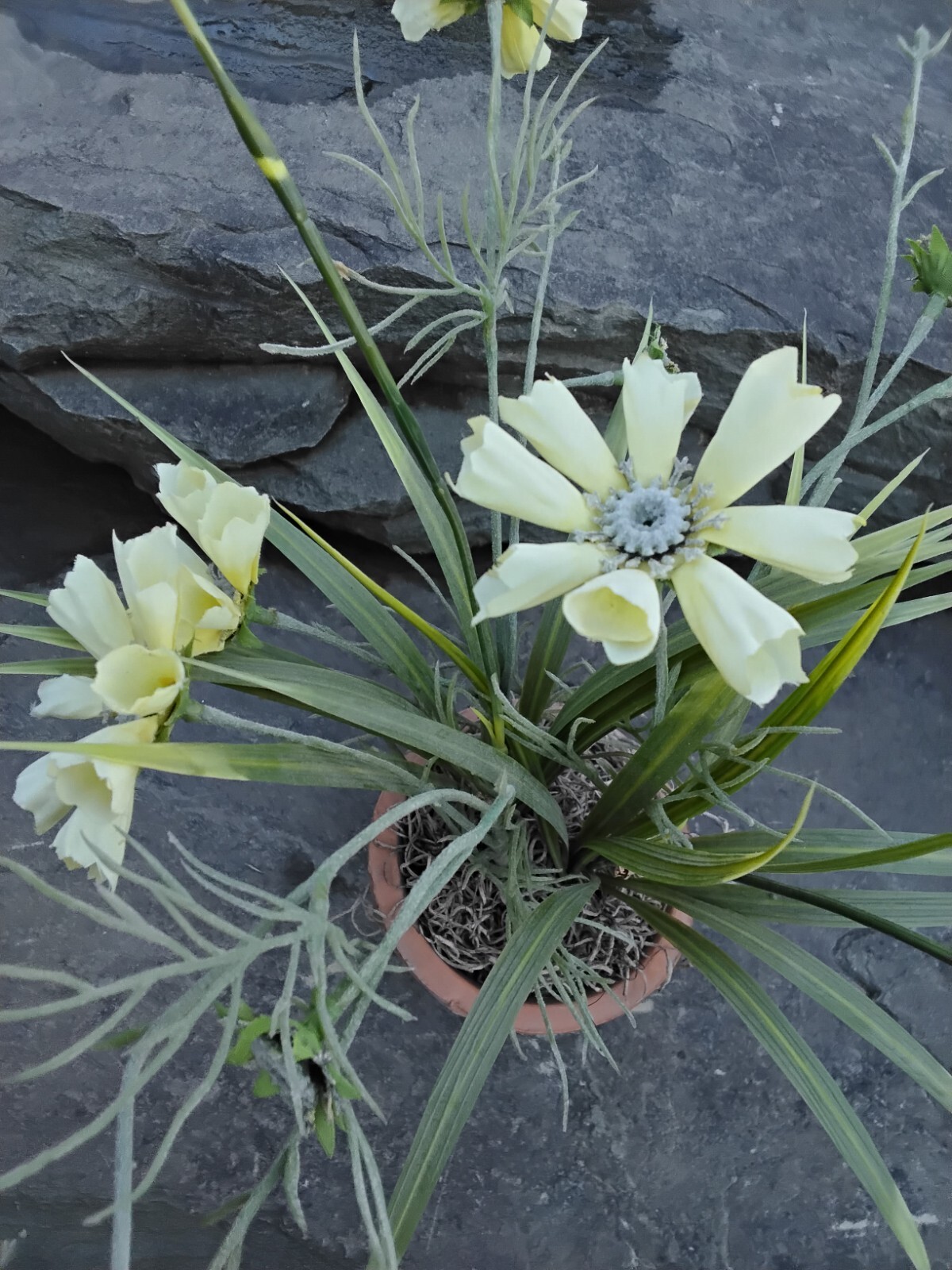 Faux Yellow Spring Flower Plant in Terra Cotta Pot, Daisy, Toplis