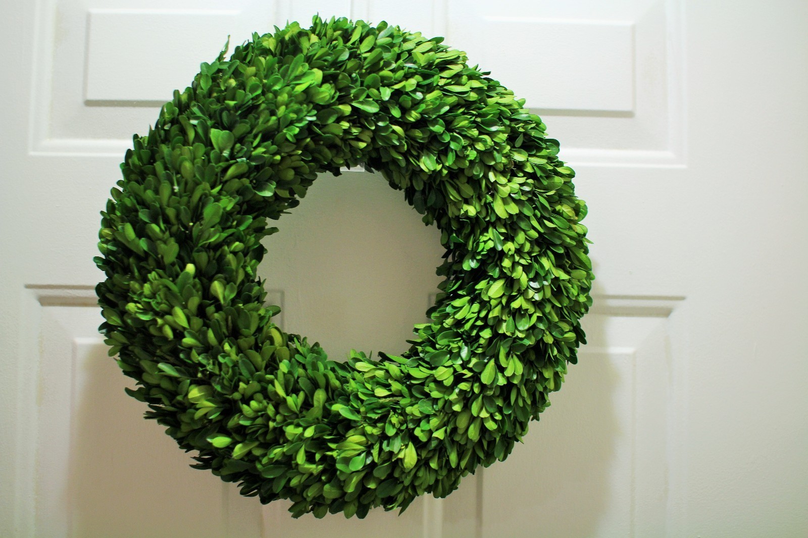 Real Preserved Boxwood Wreath Round all sizes 14 in, 16 in , 20 in , 24 in, 30in