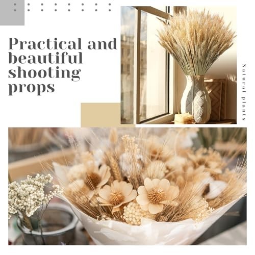 800 Dried Wheat Stalks Bundle – Natural Wheat Grass for DIY Decor, Centerpieces
