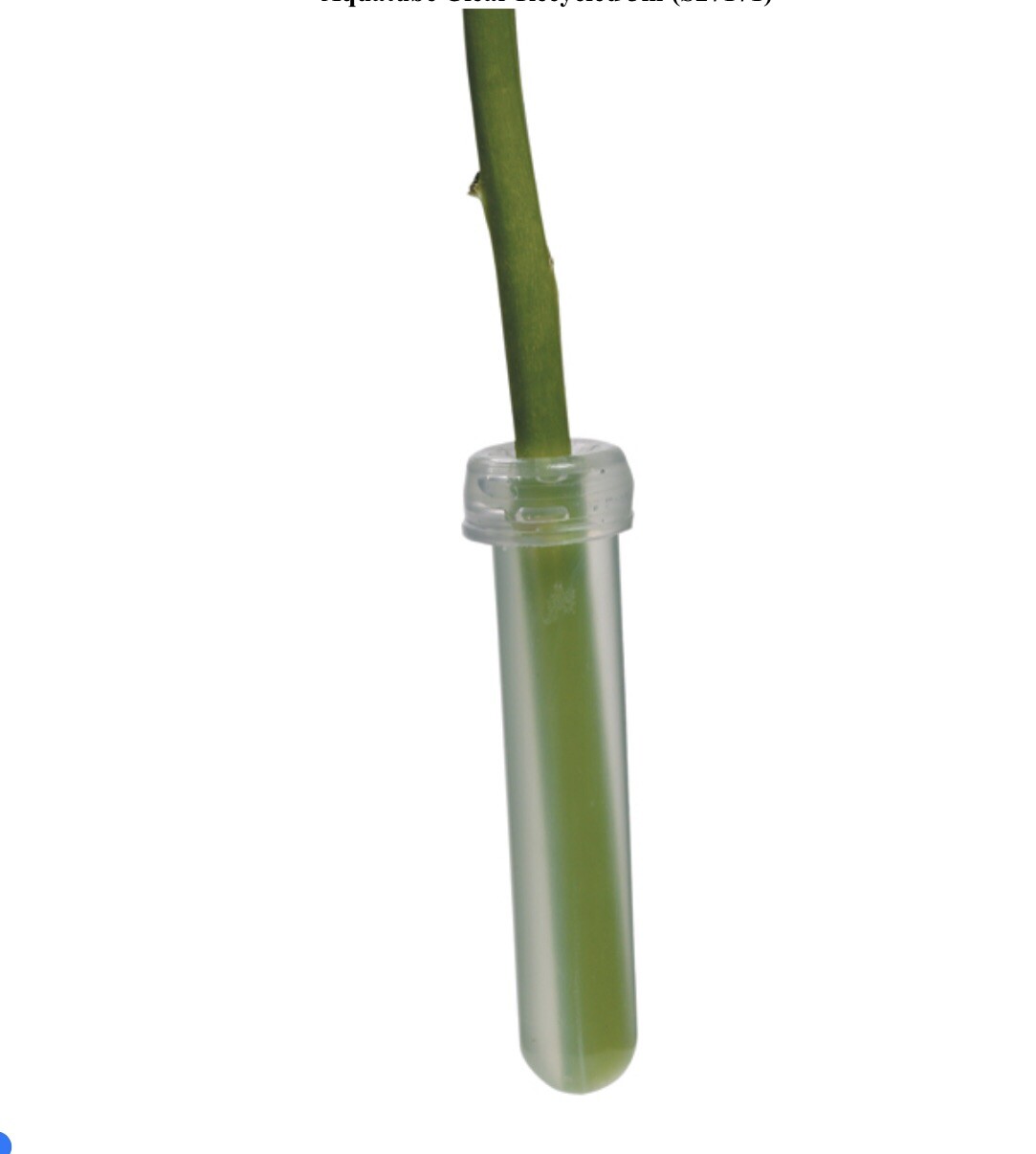 20 Pcs Of 4 Inch Floral Water Tubes-Clear Flower Vials for Flower Arrangement