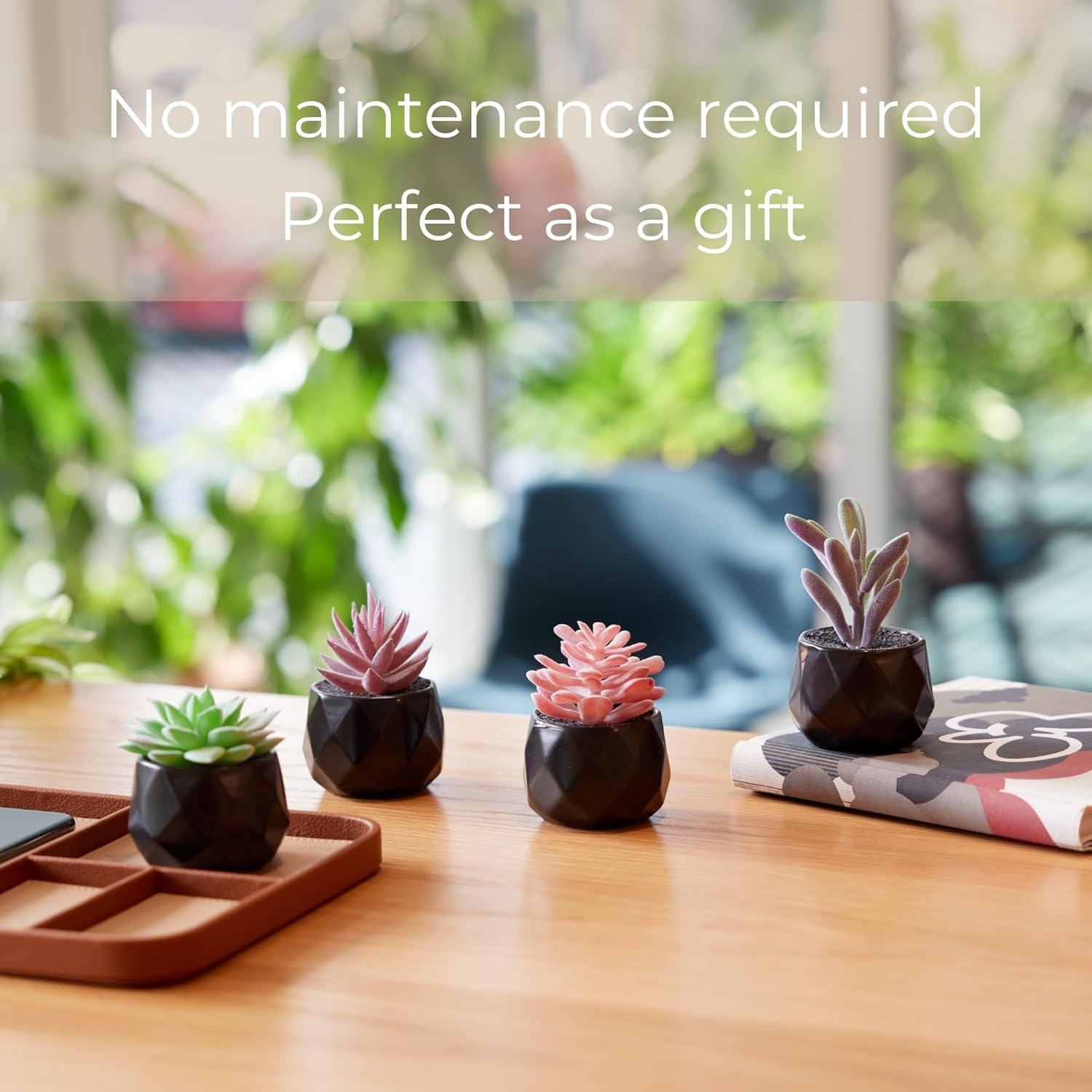 Set of 4 Desk Plants – Geometric Round Black Pots – Perfect for Bathro…