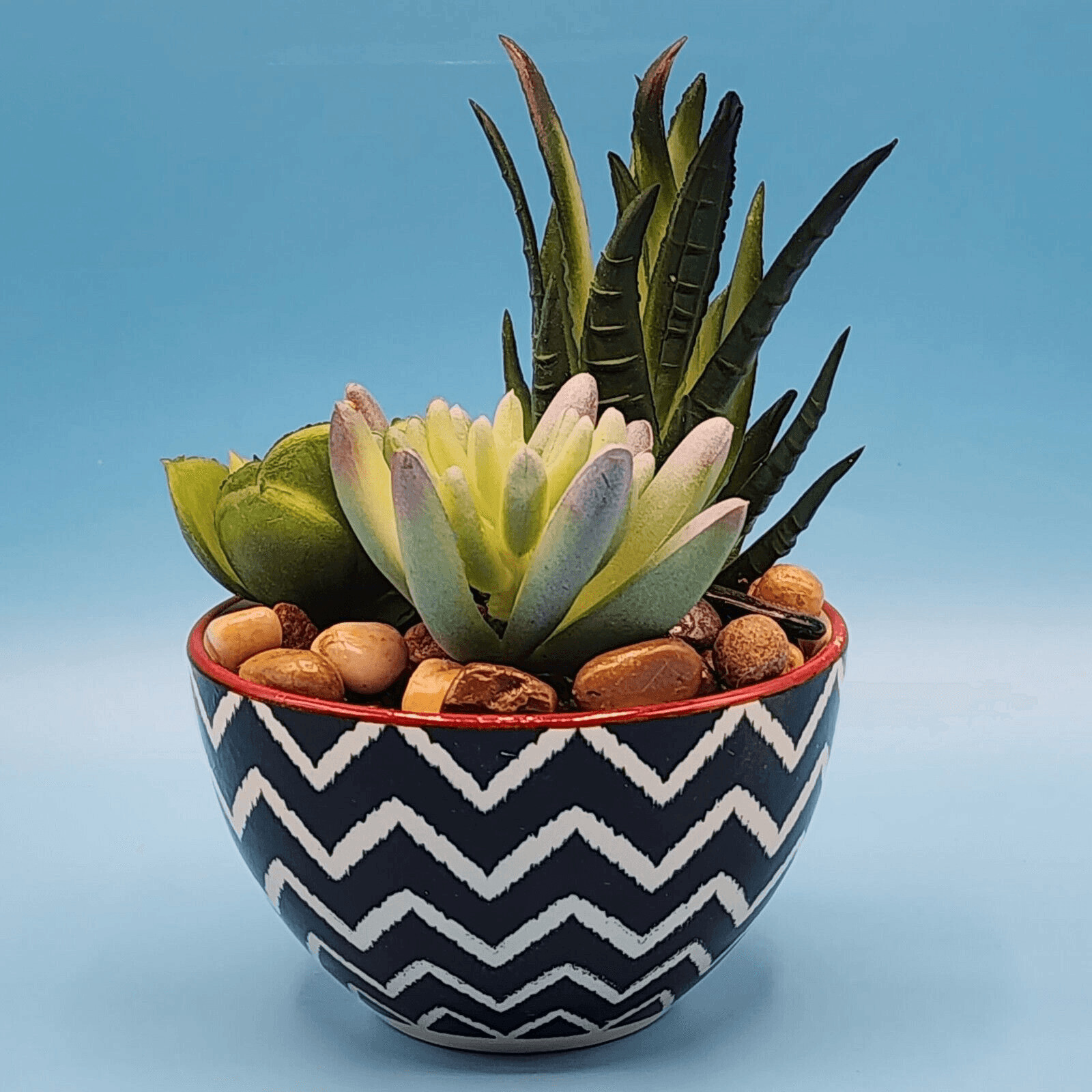 Faux Succulent Simulated Potted Plant Black White Red Chevron Pot Rock Accents