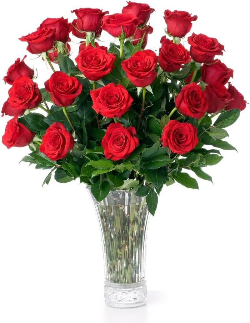 – Fresh Cut Flowers for Delivery, Gifts for Graduation, Birthday, Anniversary, o
