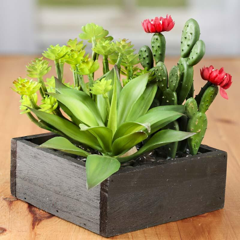 7″ x 6″ Artificial Mixed Succulents in Black Planter Box