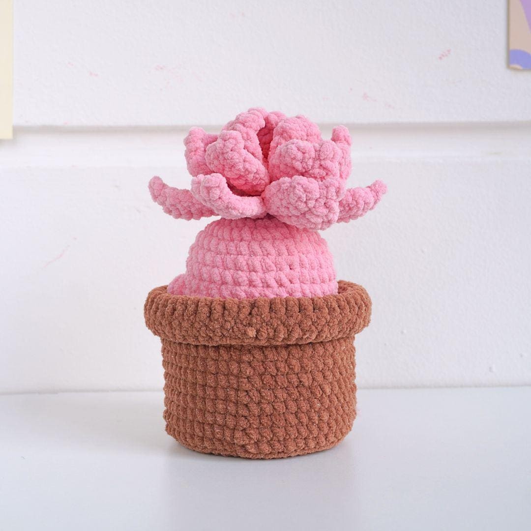 Handmade Crochet Pink Echeveria Succulent Pot Cute Crochet Desk Decor
