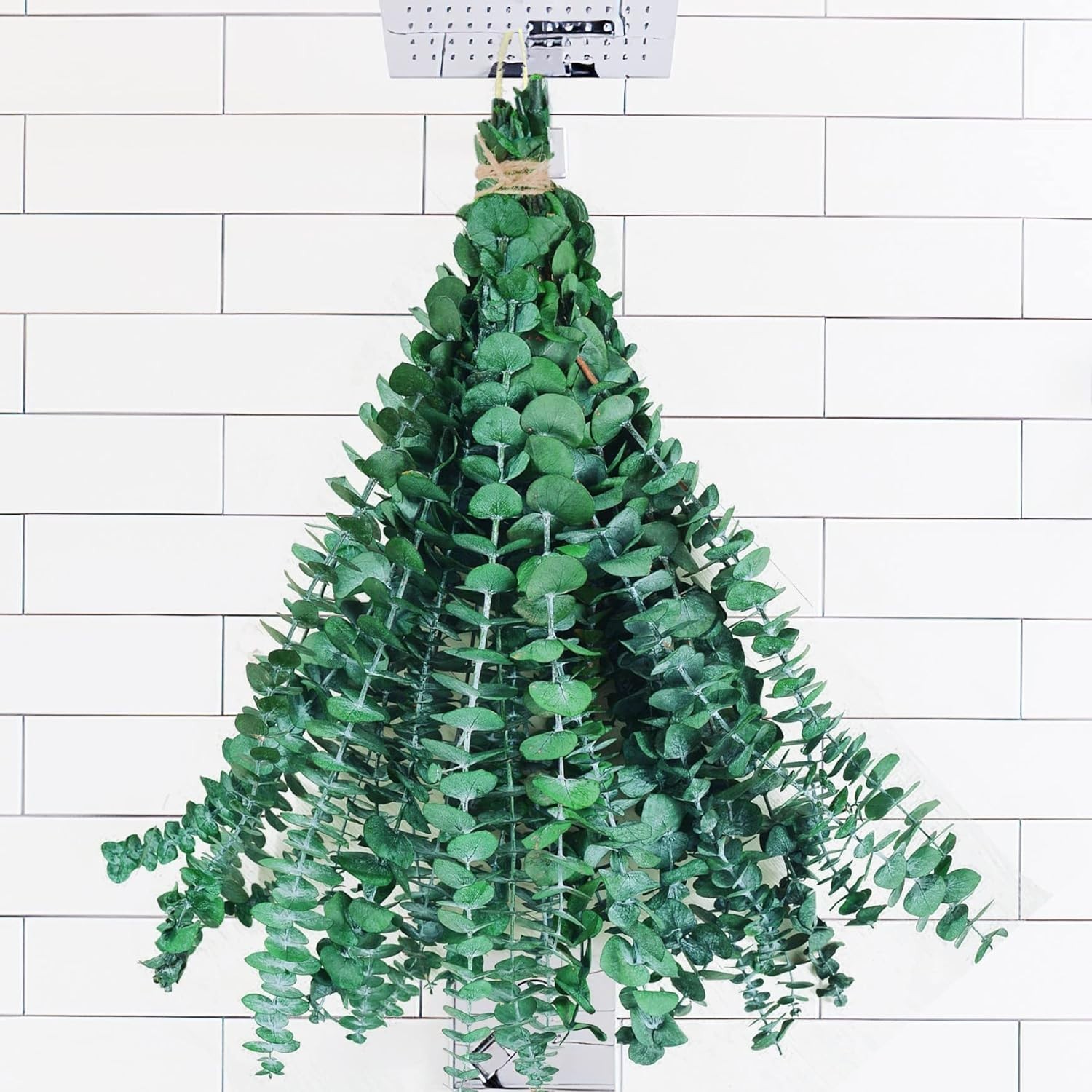 10Pcs Dried Eucalyptus Stems, 17″ Natural Hanging Eucalyptus for Shower | Rea…