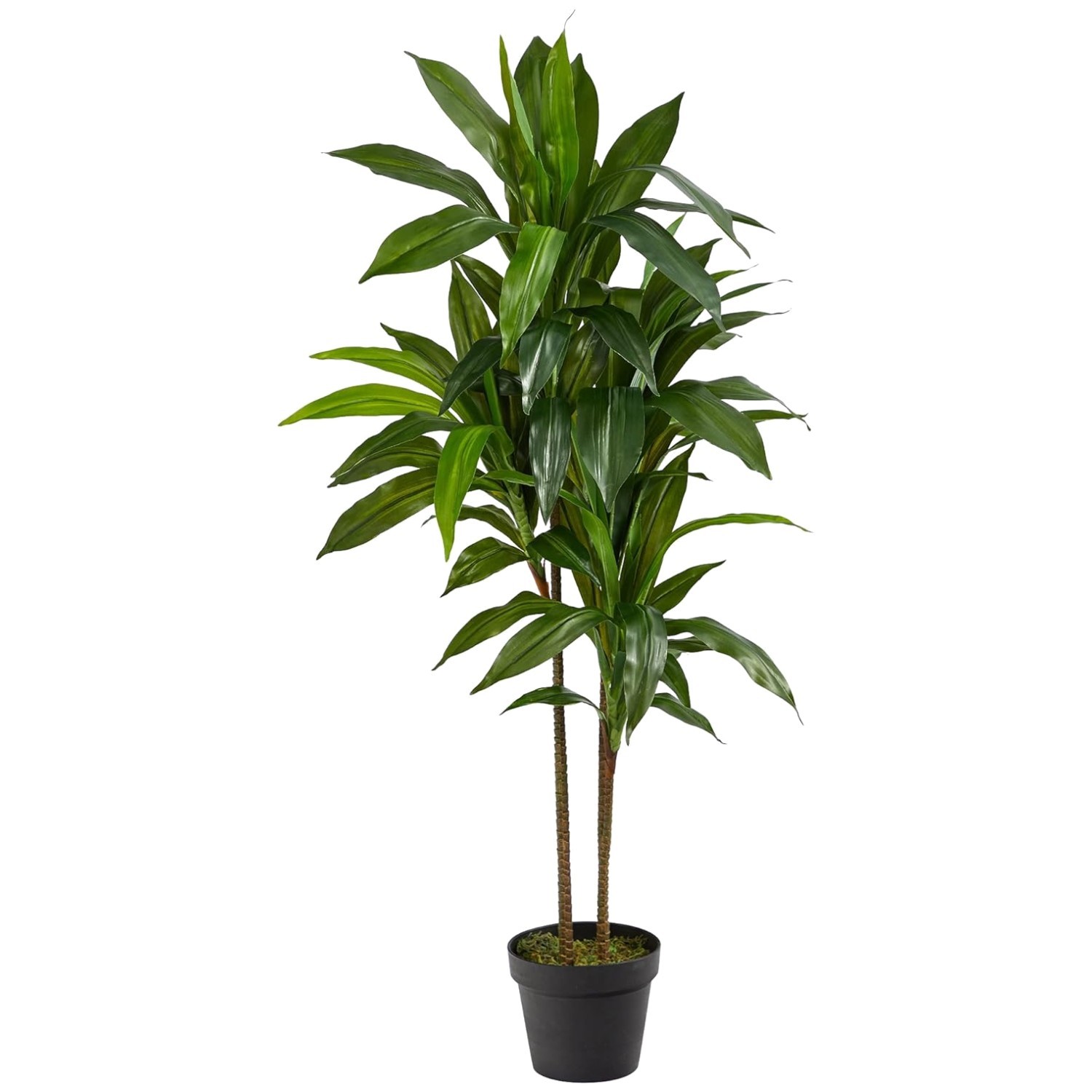 Maintenance-Free Indoor Silk Plant with Real Touch Leaves