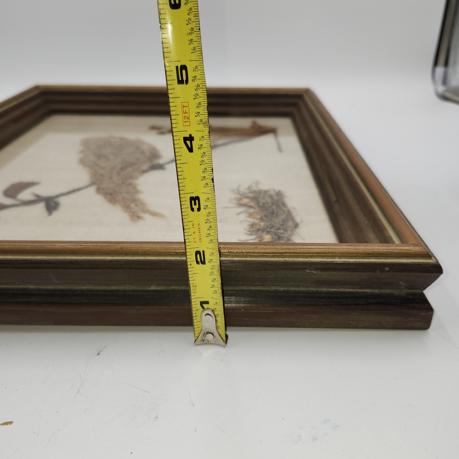 Vintage dried pressed flowers weeds taxidermy wall art bird 14 x 16 wood frame