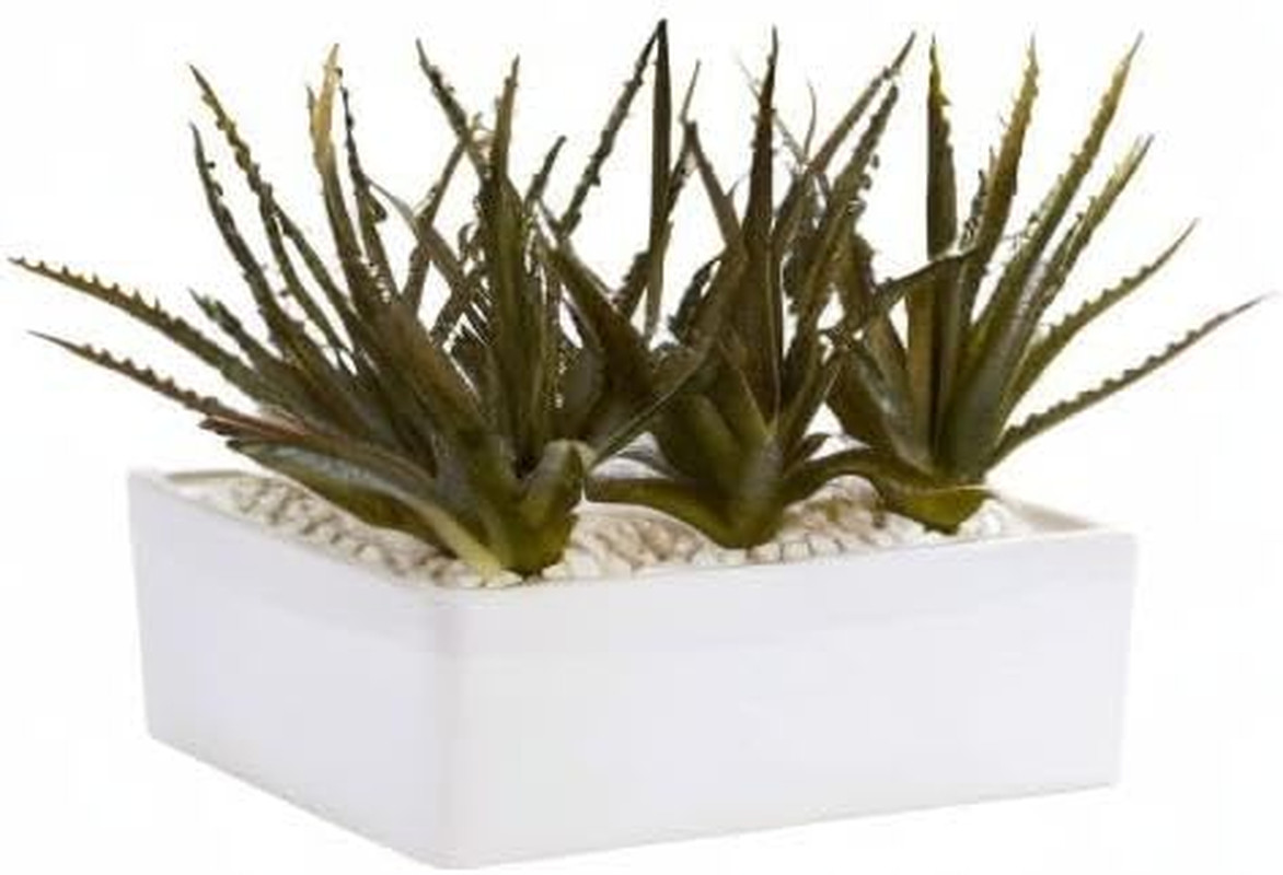 Mini Aloe Succulent in White Planter – 11In. Artificial Plant Decor