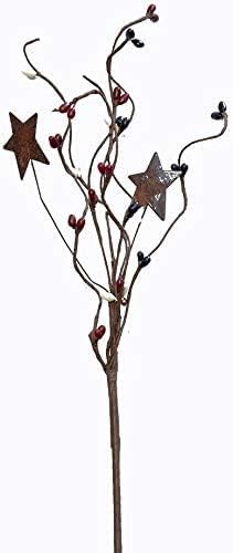 HAPPY DEALS ~ Americana Pip Picks with Rusty Stars – 4 Pc Set | 12 inch (4 Pc…