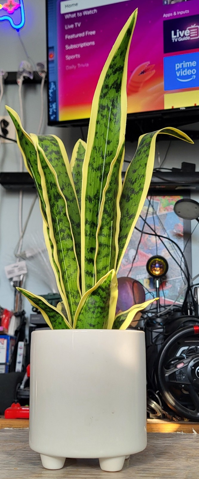 Artificial Snake Plant Potted, Sansevieria (Real Looking) 20″ Tall Porcelain Pot