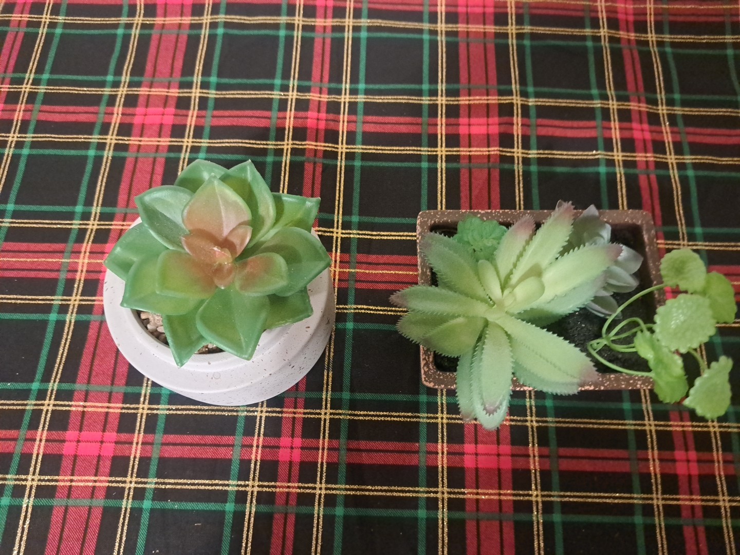 Mini Artificial Succulent Plants Set Of 2 In Pots Minimalist Modern Home Decor