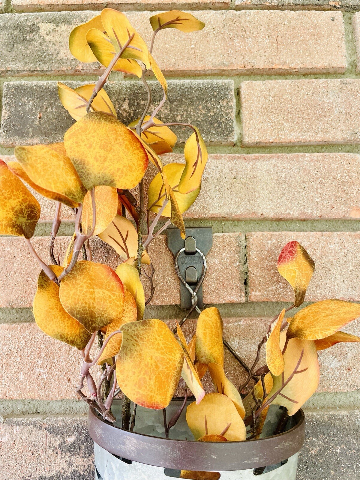 Gold Eucalyptus Pick, 28” One Pick Only