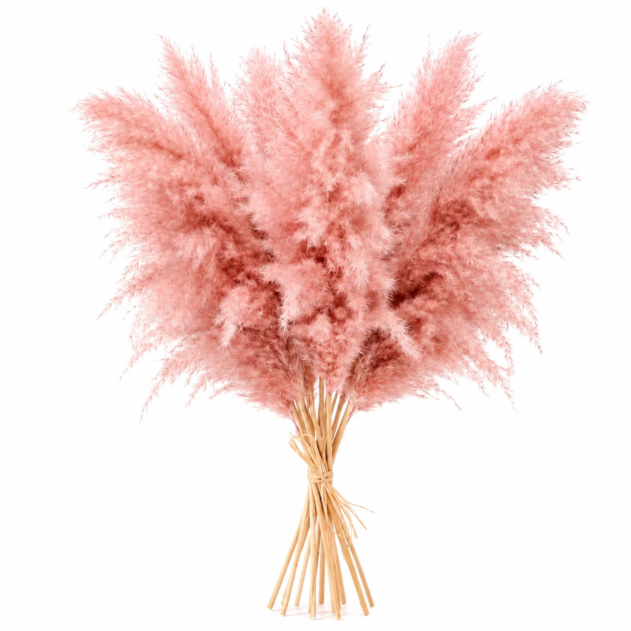 15 Pink Pampas Grass Stems 21″ Real Dried Flowers Boho Home Vase Decor