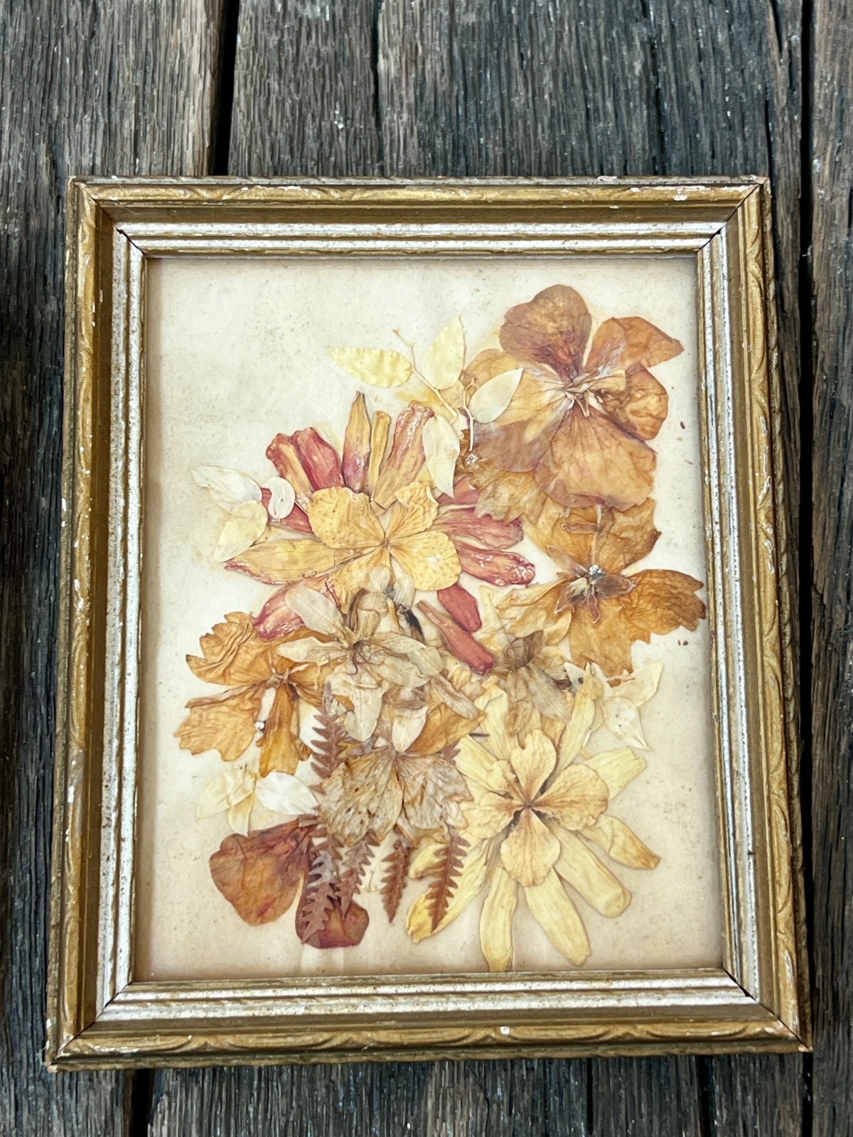 Vintage Dried Flower Artwork Set – Gold Wood Frame Wall Art (5 3/4″)