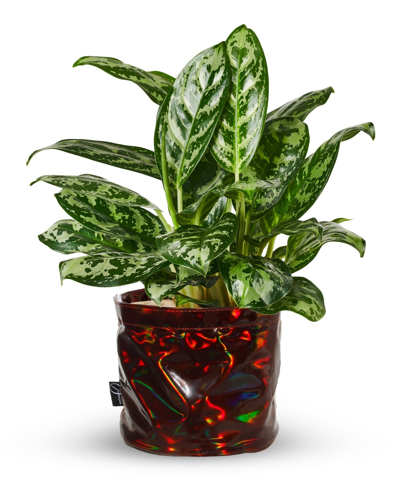 Decorative Flower Pot Cover With Saucer – Plant Basket for Up to 6″ Planter
