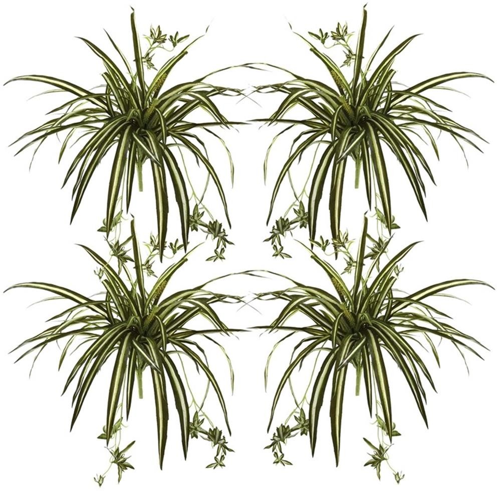 Pemberly Row 23″ Spider Bush with Striped Light/Dark Green Leaves (Set of 4)