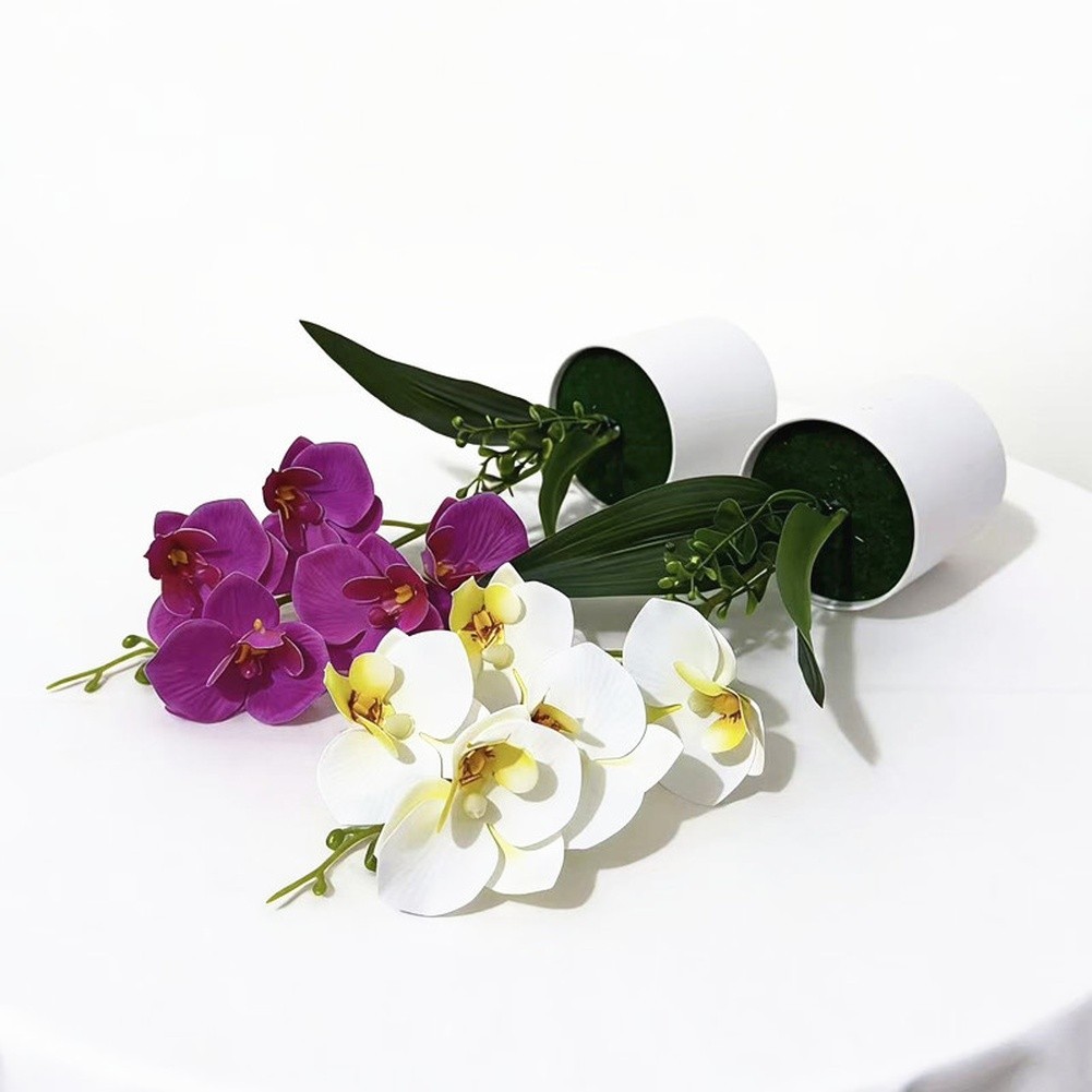 White Yellow Purple Blue Phalaenopsis Orchid Arrangement for Indoor Desk Decor