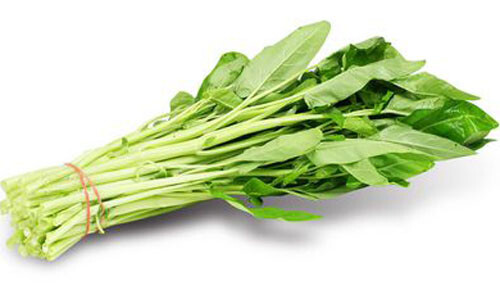 50+White Stem Water Spinach Seeds Ong Choy,Kong Xin Cai,Heavy Producer Fresh USA