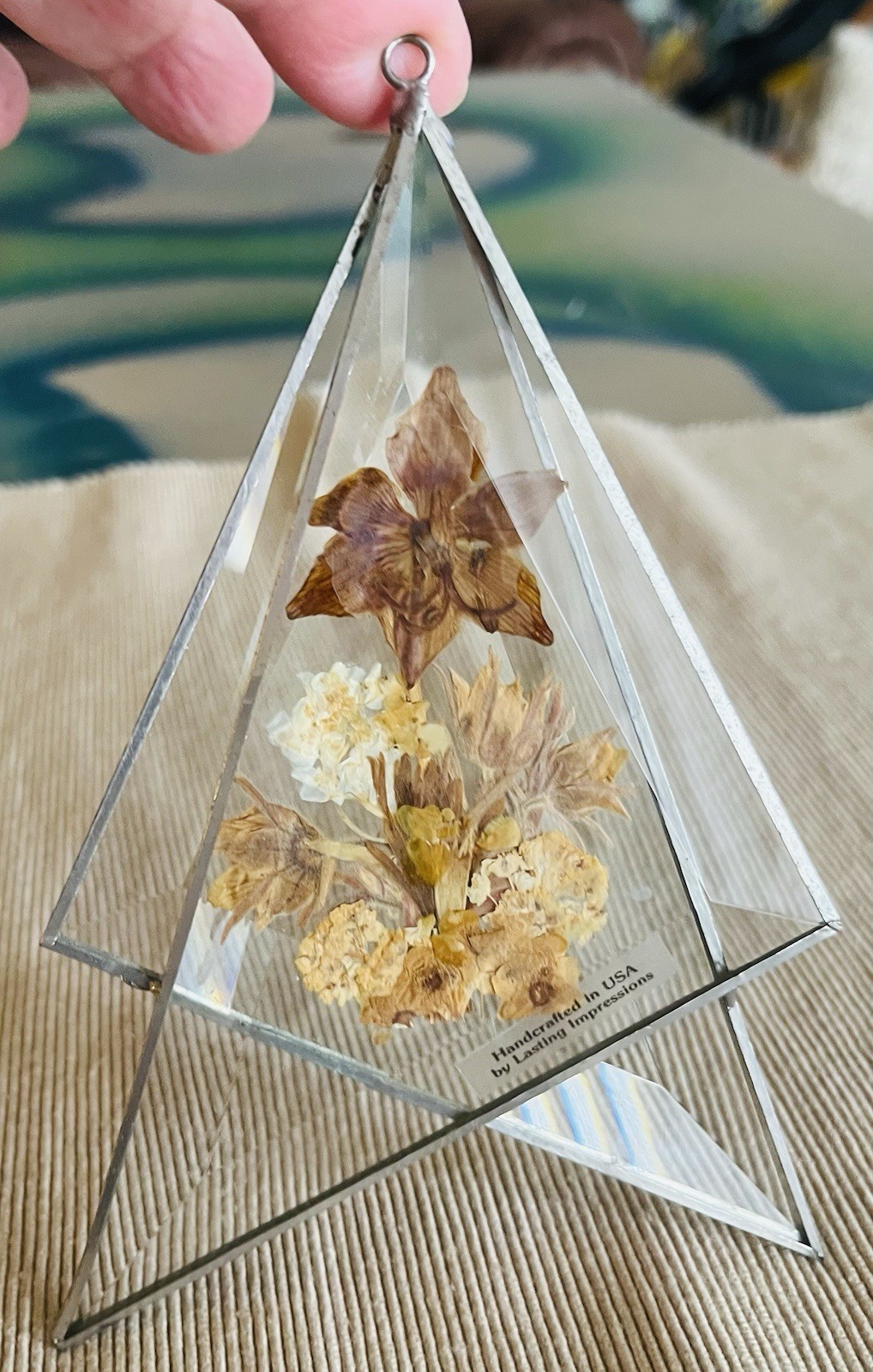 Lasting Impressions Real Dried Flowers Glass Wall Hangings Metal Frame