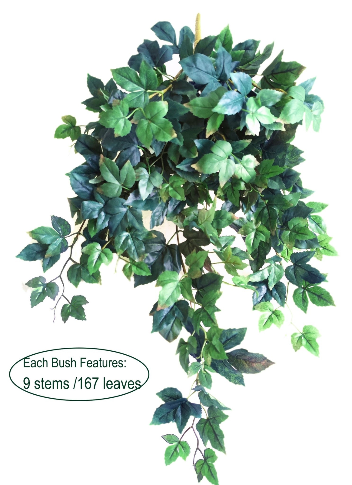Greenery Delux Maple Ivy Hanging Bush X9 Hanging bush, 34″H, 9 stems, 167Bleav