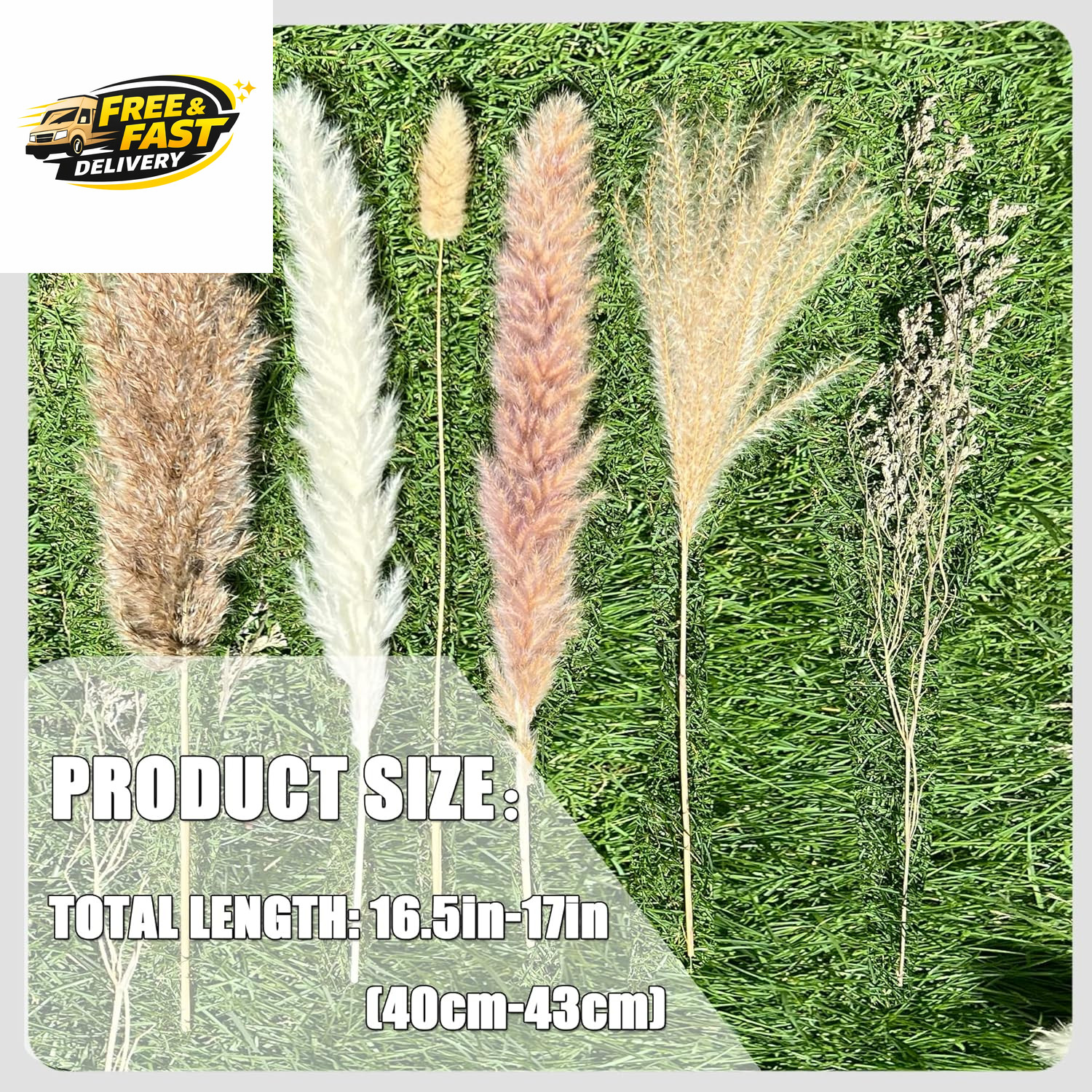 100Pcs Pampas Grass Boho Home Decor 17 Inch Natural Dried Flowers-Pampas Grass
